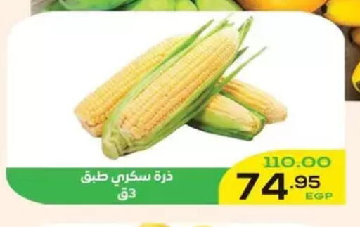 available at اسواق الضحى in Egypt - القاهرة