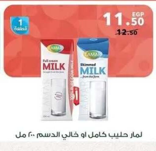 available at بنده in Egypt - القاهرة