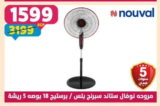 available at Shaheen Center in Egypt - Cairo
