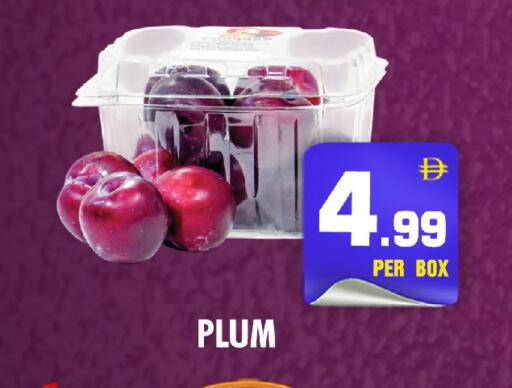 Plum available at NIGHT TO NIGHT DEPARTMENT STORE in UAE - Dubai