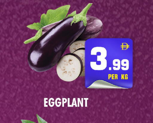 Eggplant available at NIGHT TO NIGHT DEPARTMENT STORE in UAE - Dubai