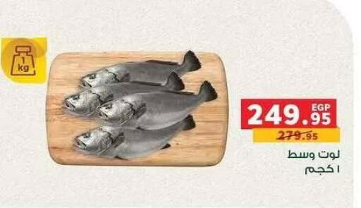 available at بنده in Egypt - القاهرة