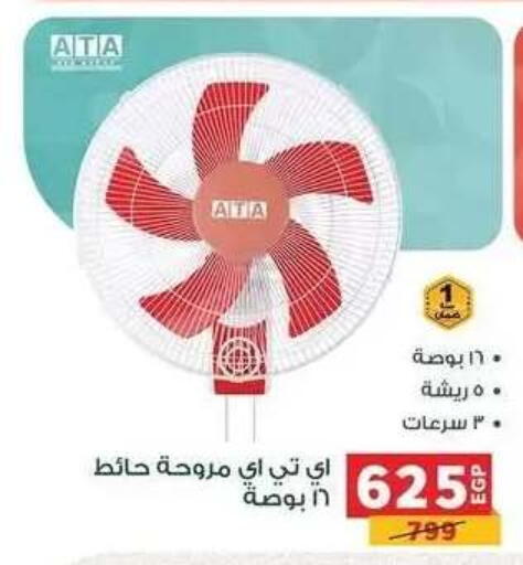 available at بنده in Egypt - القاهرة