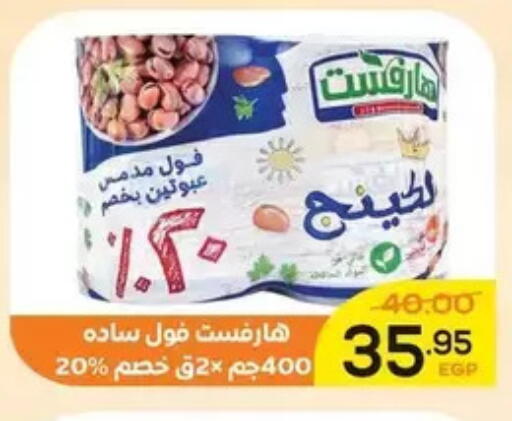 available at اسواق الضحى in Egypt - القاهرة