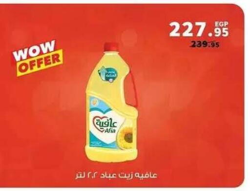available at بنده in Egypt - القاهرة