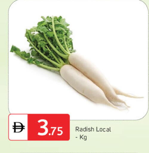 Radish available at سوق طلال in الإمارات العربية المتحدة , الامارات - دبي