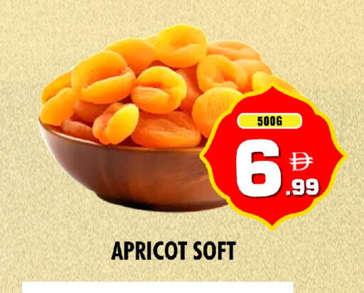 Apricot available at NIGHT TO NIGHT DEPARTMENT STORE in UAE - Dubai