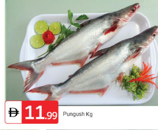 available at سوق طلال in الإمارات العربية المتحدة , الامارات - دبي