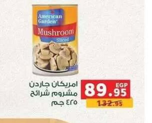Mushroom available at بنده in Egypt - القاهرة