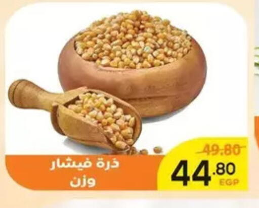available at اسواق الضحى in Egypt - القاهرة