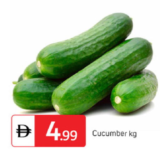 Cucumber available at سوق طلال in الإمارات العربية المتحدة , الامارات - دبي