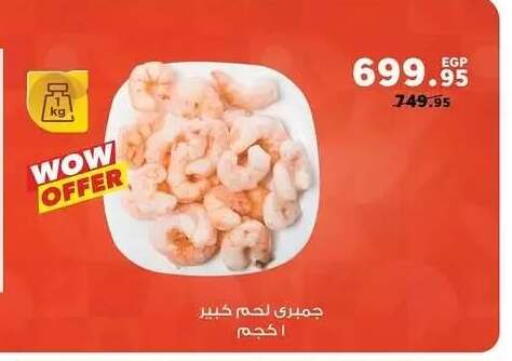 available at بنده in Egypt - القاهرة