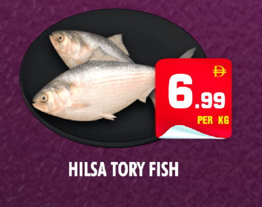 available at NIGHT TO NIGHT DEPARTMENT STORE in UAE - Dubai