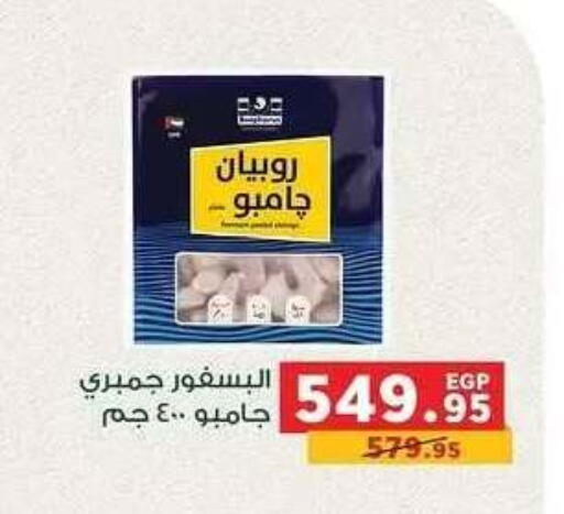 available at بنده in Egypt - القاهرة