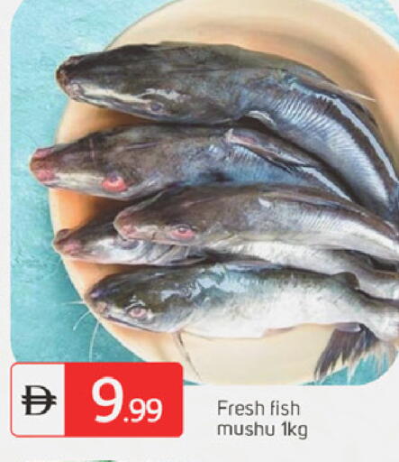 available at سوق طلال in الإمارات العربية المتحدة , الامارات - دبي