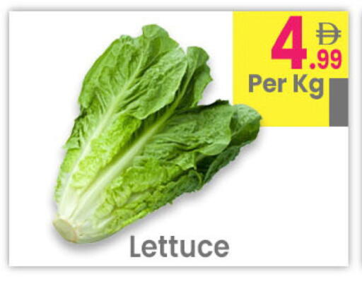 Lettuce available at مركز كل يوم in الإمارات العربية المتحدة , الامارات - رَأْس ٱلْخَيْمَة