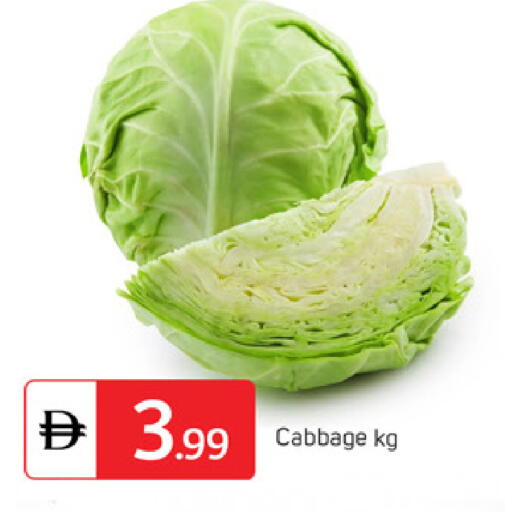Cabbage available at سوق طلال in الإمارات العربية المتحدة , الامارات - دبي