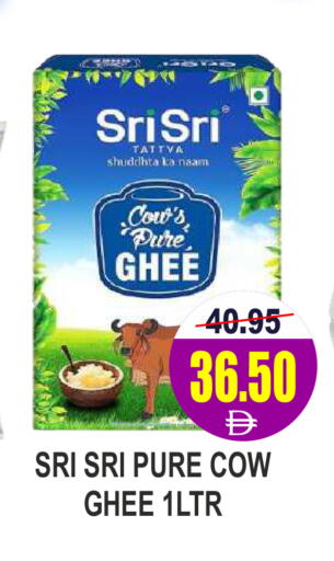available at مجمع باتيل فريش in الإمارات العربية المتحدة , الامارات - دبي