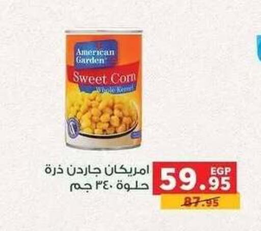 available at Panda  in Egypt - Cairo