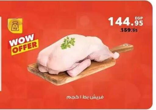 available at بنده in Egypt - القاهرة