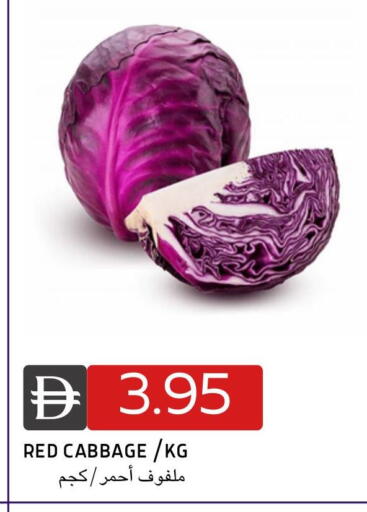 Cabbage available at سيليكت ماركت in الإمارات العربية المتحدة , الامارات - أبو ظبي