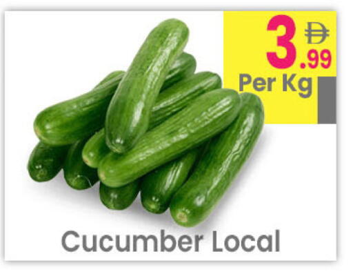 Cucumber available at مركز كل يوم in الإمارات العربية المتحدة , الامارات - رَأْس ٱلْخَيْمَة