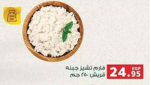 available at Panda  in Egypt - Cairo