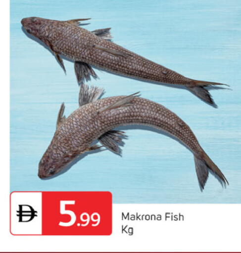 available at سوق طلال in الإمارات العربية المتحدة , الامارات - دبي