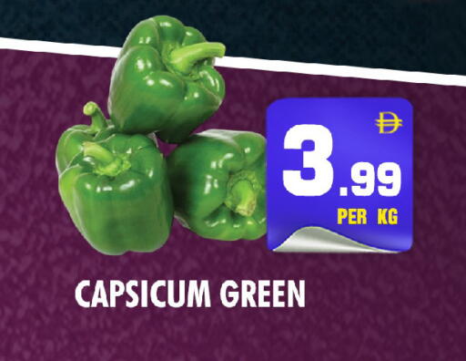 Capsicum available at NIGHT TO NIGHT DEPARTMENT STORE in UAE - Dubai