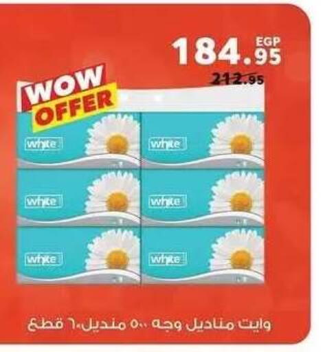 available at بنده in Egypt - القاهرة
