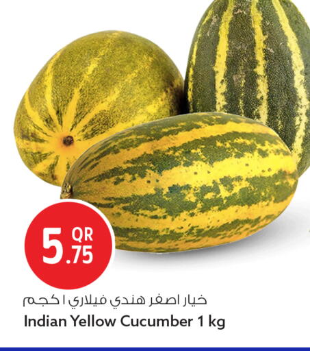 Cucumber from India available at Safari Hypermarket in Qatar - Doha