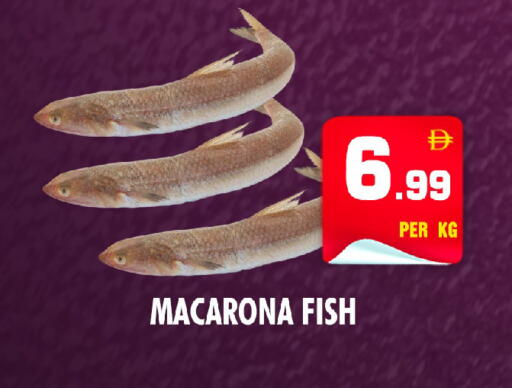 available at NIGHT TO NIGHT DEPARTMENT STORE in UAE - Dubai