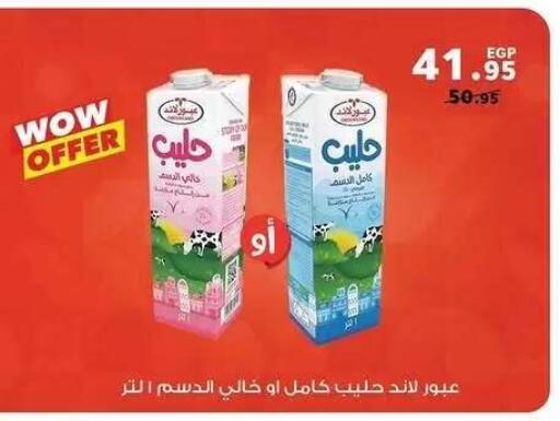 available at بنده in Egypt - القاهرة