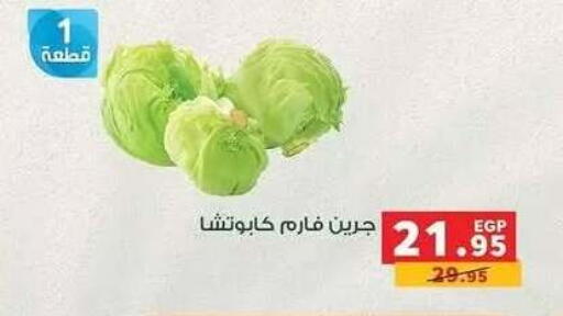 available at Panda  in Egypt - Cairo