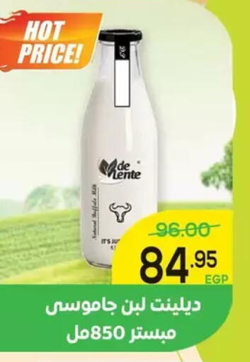 available at اسواق الضحى in Egypt - القاهرة