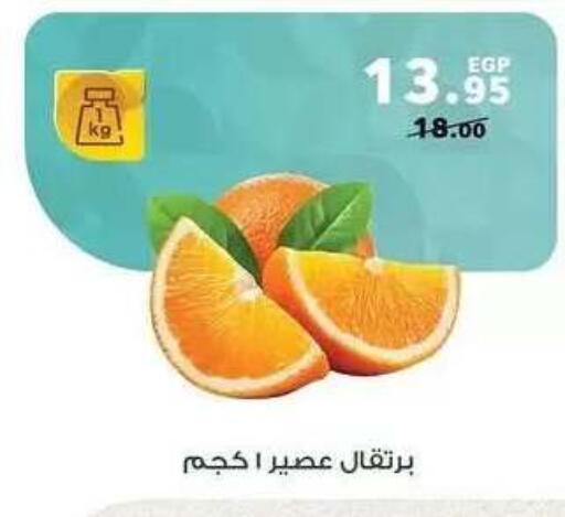 available at Panda  in Egypt - Cairo