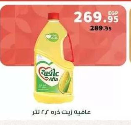 available at بنده in Egypt - القاهرة