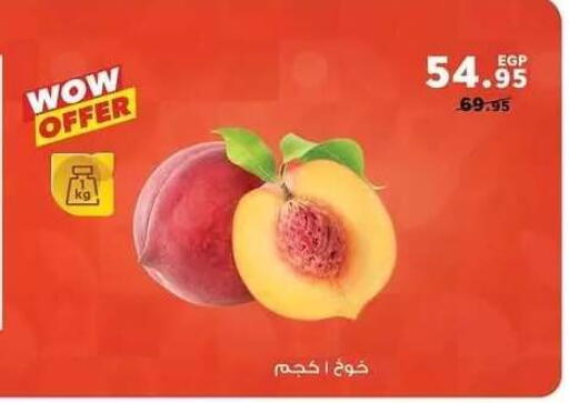 available at Panda  in Egypt - Cairo