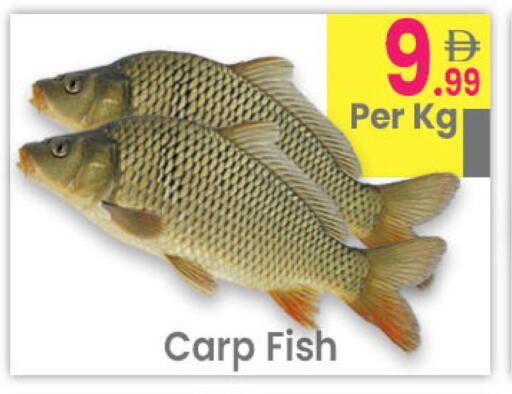 available at مركز كل يوم in الإمارات العربية المتحدة , الامارات - رَأْس ٱلْخَيْمَة