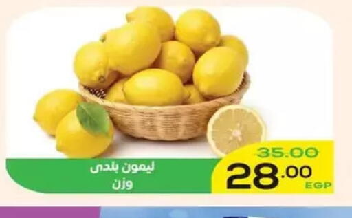 available at اسواق الضحى in Egypt - القاهرة