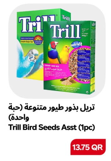 available at Snoomart in Qatar - Al Rayyan