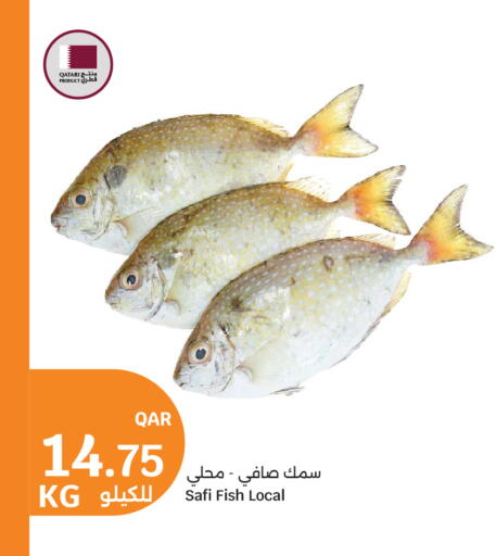 available at سيتي هايبرماركت in قطر - الوكرة
