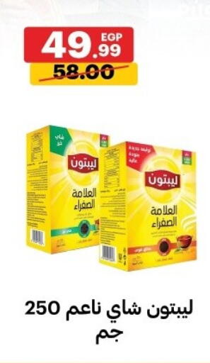 available at الحبيب ماركت in Egypt - القاهرة