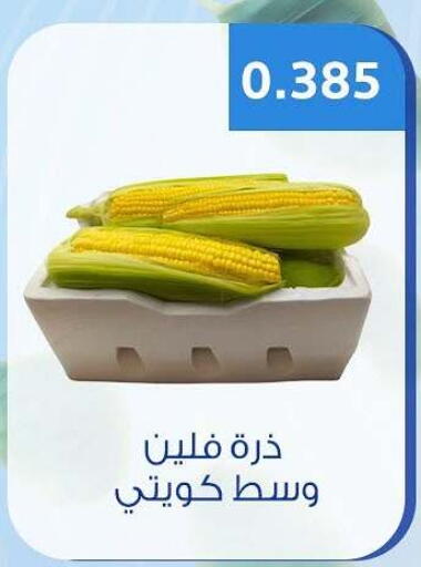 available at Hateen Co-Op Society in Kuwait - Kuwait City