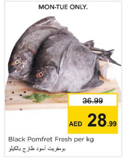 available at Nesto Hypermarket in UAE - Sharjah / Ajman