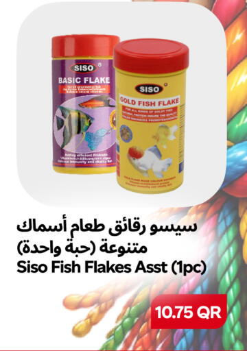 available at Snoomart in Qatar - Al Daayen
