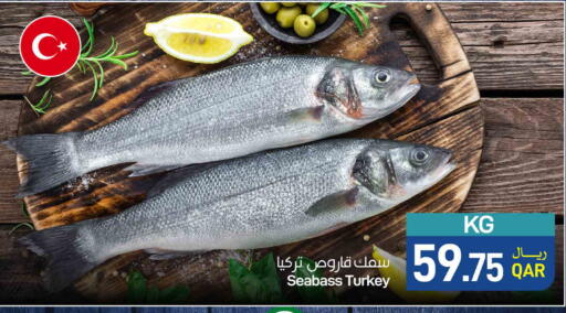 available at ســبــار in قطر - الوكرة