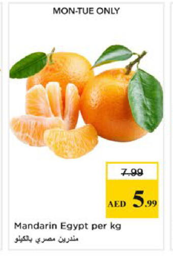Mandarin from Egypt available at نستو هايبرماركت in الإمارات العربية المتحدة , الامارات - رَأْس ٱلْخَيْمَة