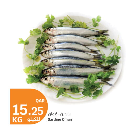 available at سيتي هايبرماركت in قطر - الوكرة