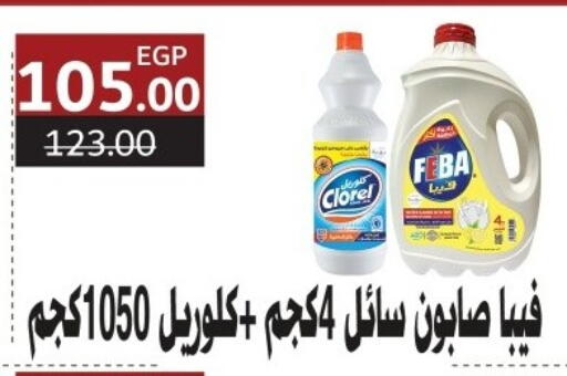 available at Al Habib Market in Egypt - Cairo
